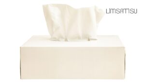 tisu papel